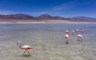 Co- construyendo los Compromisos de Sustentabilidad al 2030