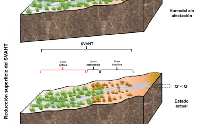 Análisis forense de la vegetación azonal hídrica terrestre con afectación (SVAHT), sector Salar de Pedernales
