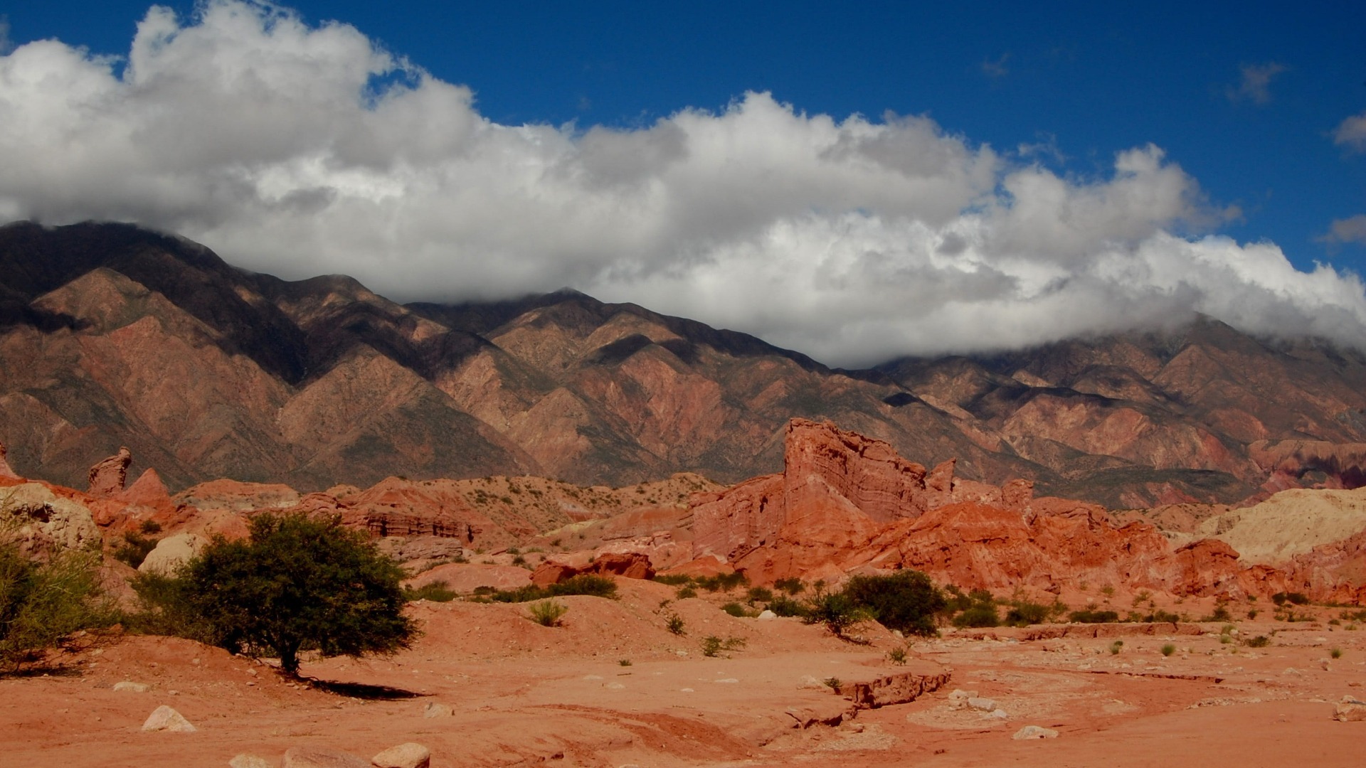 formacion-fortalecimiento