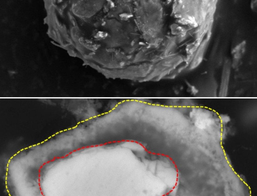 Micro encapsulamiento de pirita para prevención de drenaje de ácido minero