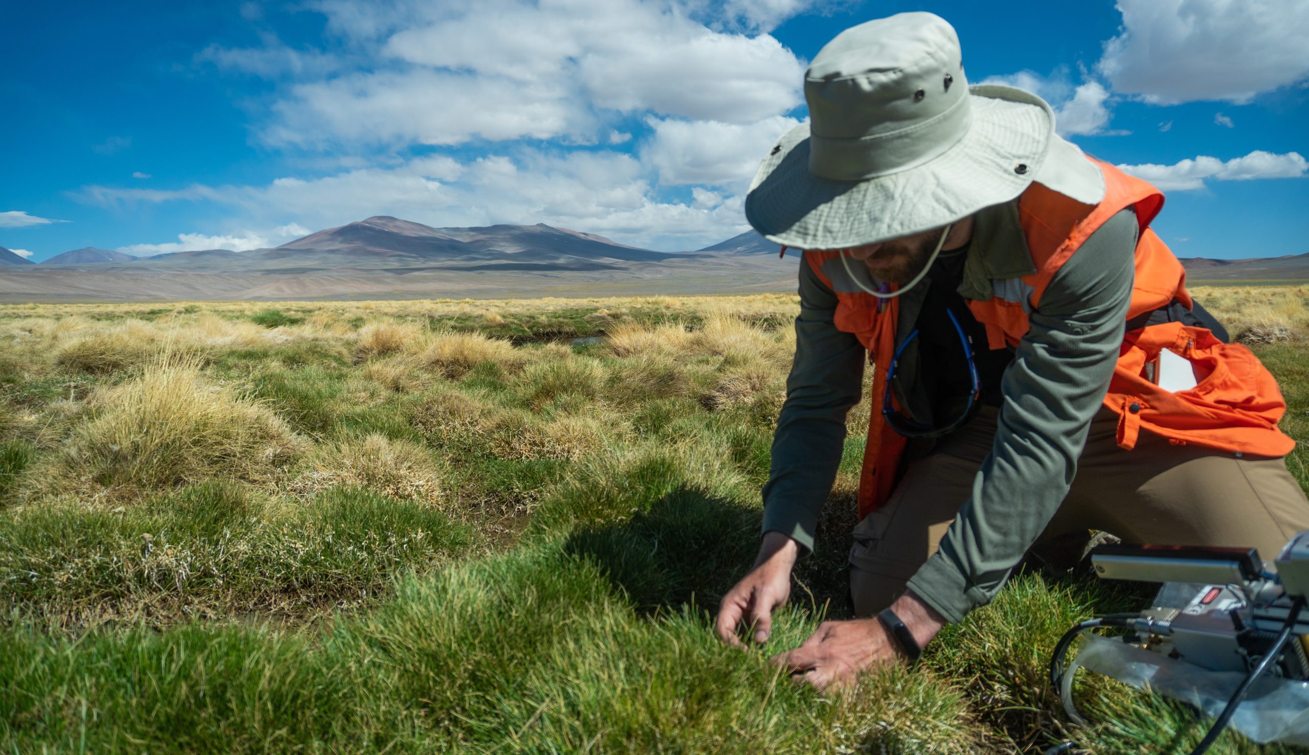 Trabajo en terreno_ok